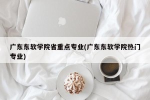 广东东软学院省重点专业(广东东软学院热门专业)