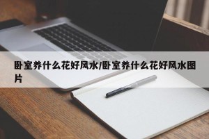 卧室养什么花好风水/卧室养什么花好风水图片