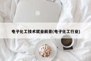 电子化工技术就业前景(电子化工行业)